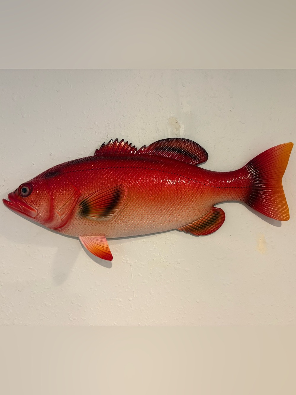 Red Snapper, 18” Wall Mount Replica. Beach & Fishing Decor.